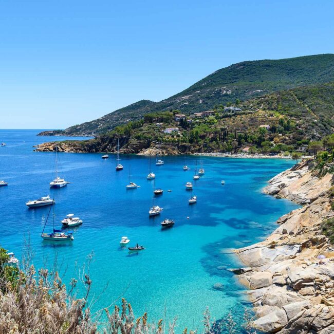 giglio
